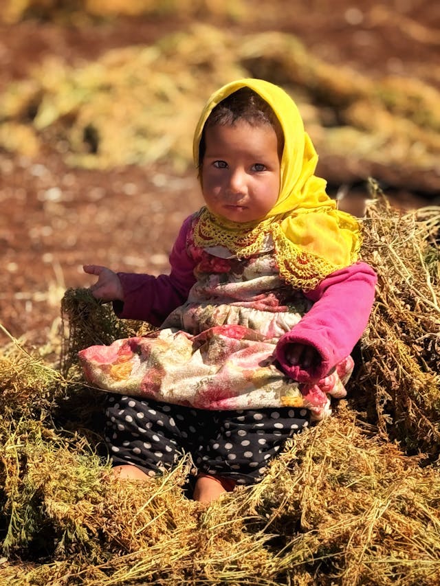 Perfil protegido CR-214